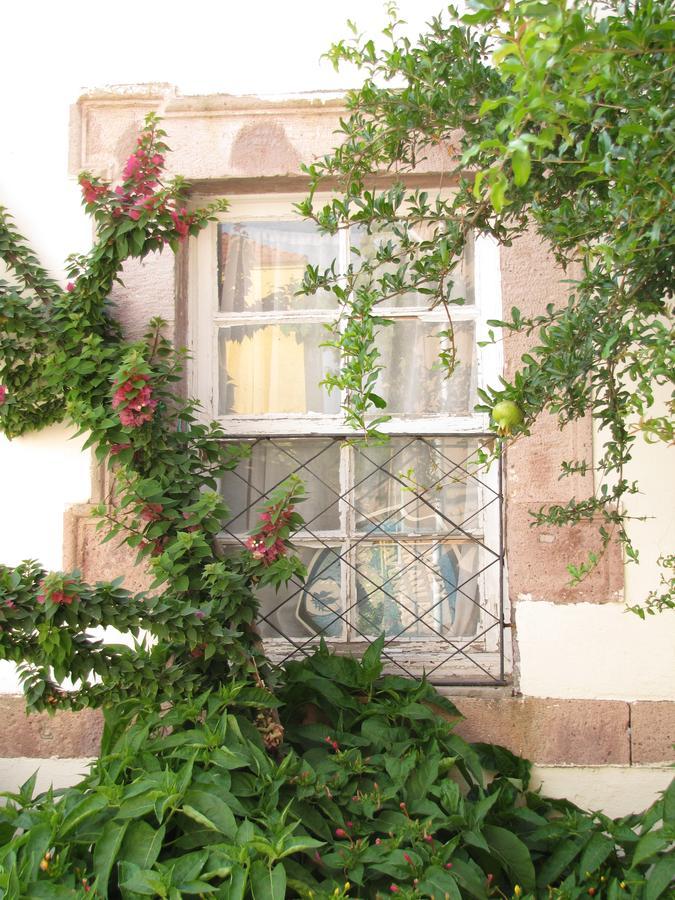 Eolos House Cunda Ayvalı Esterno foto